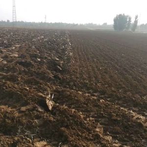 悍馬驅動耙播種機作業效果-作業環境